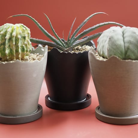 Plastic Pot Cliff No.4