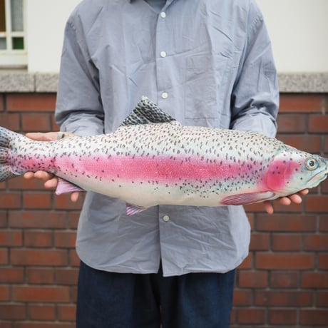 Fishes cushion