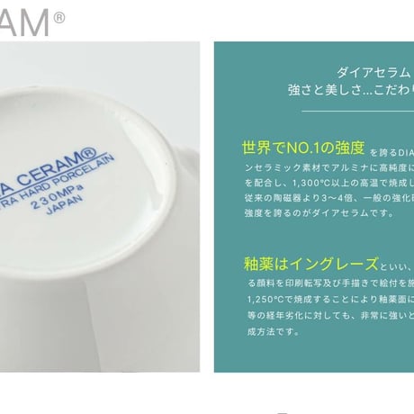 DIA CERAM plate 24cm