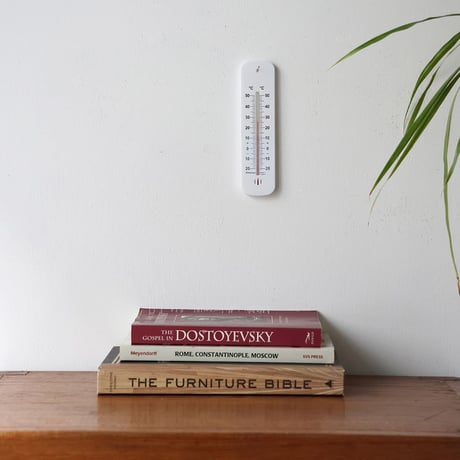 Plastic Wall Thermometer 155mm