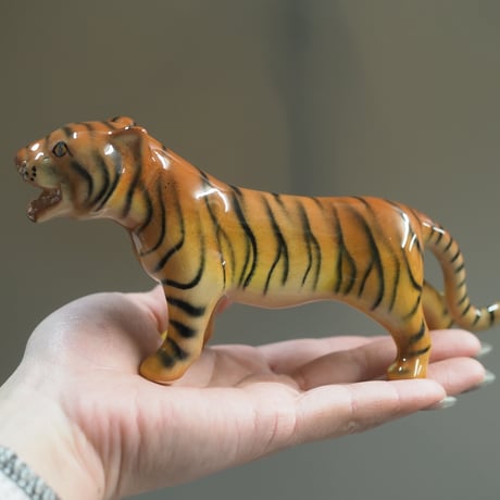 Chiang Mai Tiger