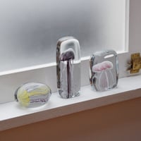 Jellyfish Twisted Leg