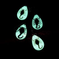 GLOW SCORPION DROP KEYCHAIN