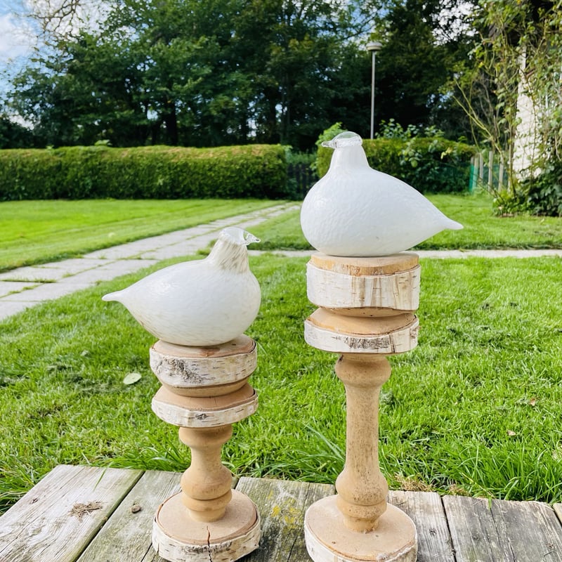 iittala/イッタラ/Nuutajärvi/ヌータヤルヴィ/Oiva Toikka/オイバ iittala/イッタラ/Nuutajärvi/ヌータヤルヴィ/Oiva Toikka/オイバ