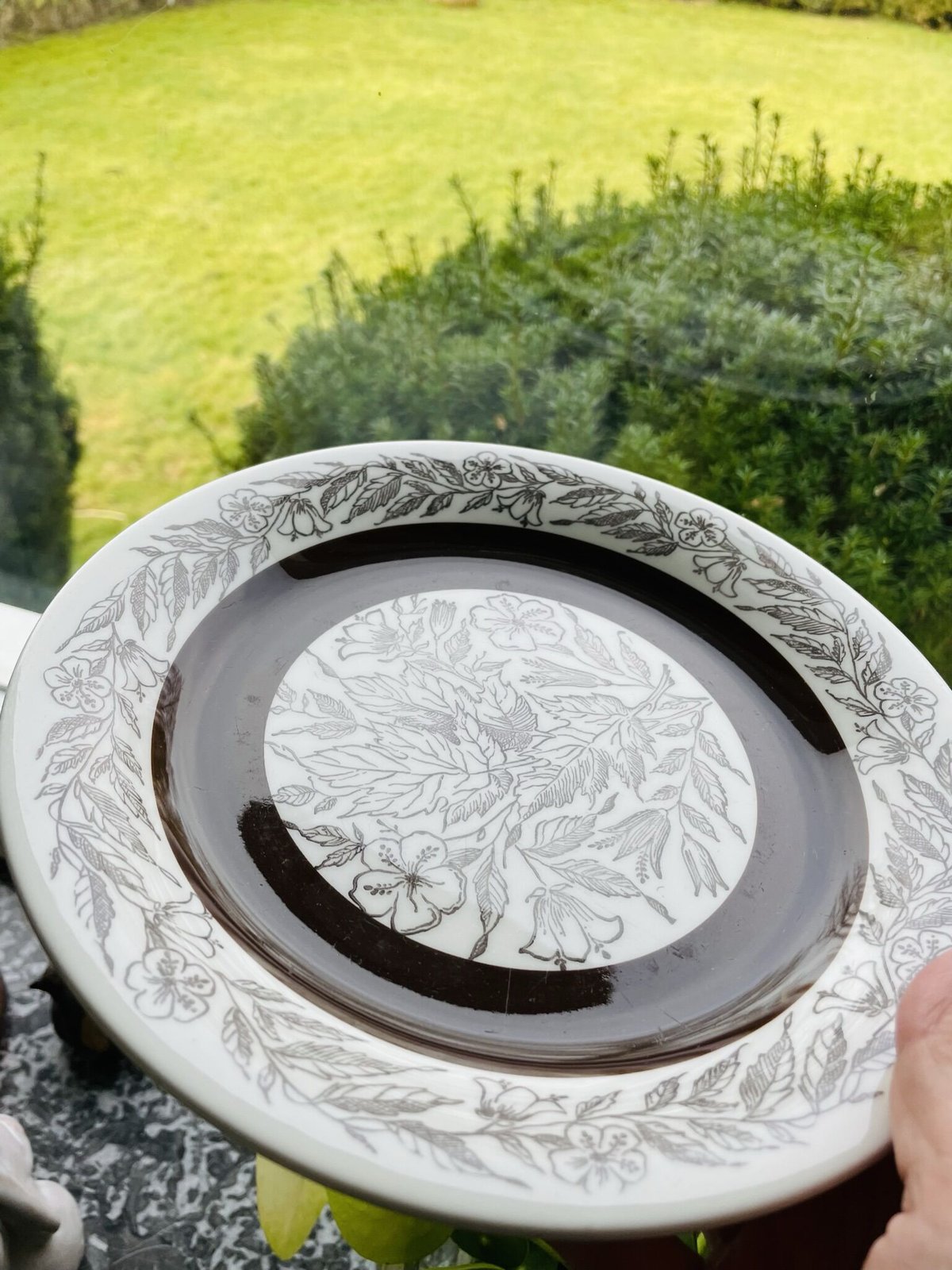 レア 廃盤 ジアン GIEN 大皿 d.lalande 絵皿 レモン 花 スミレ