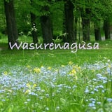 Wasurenagusa