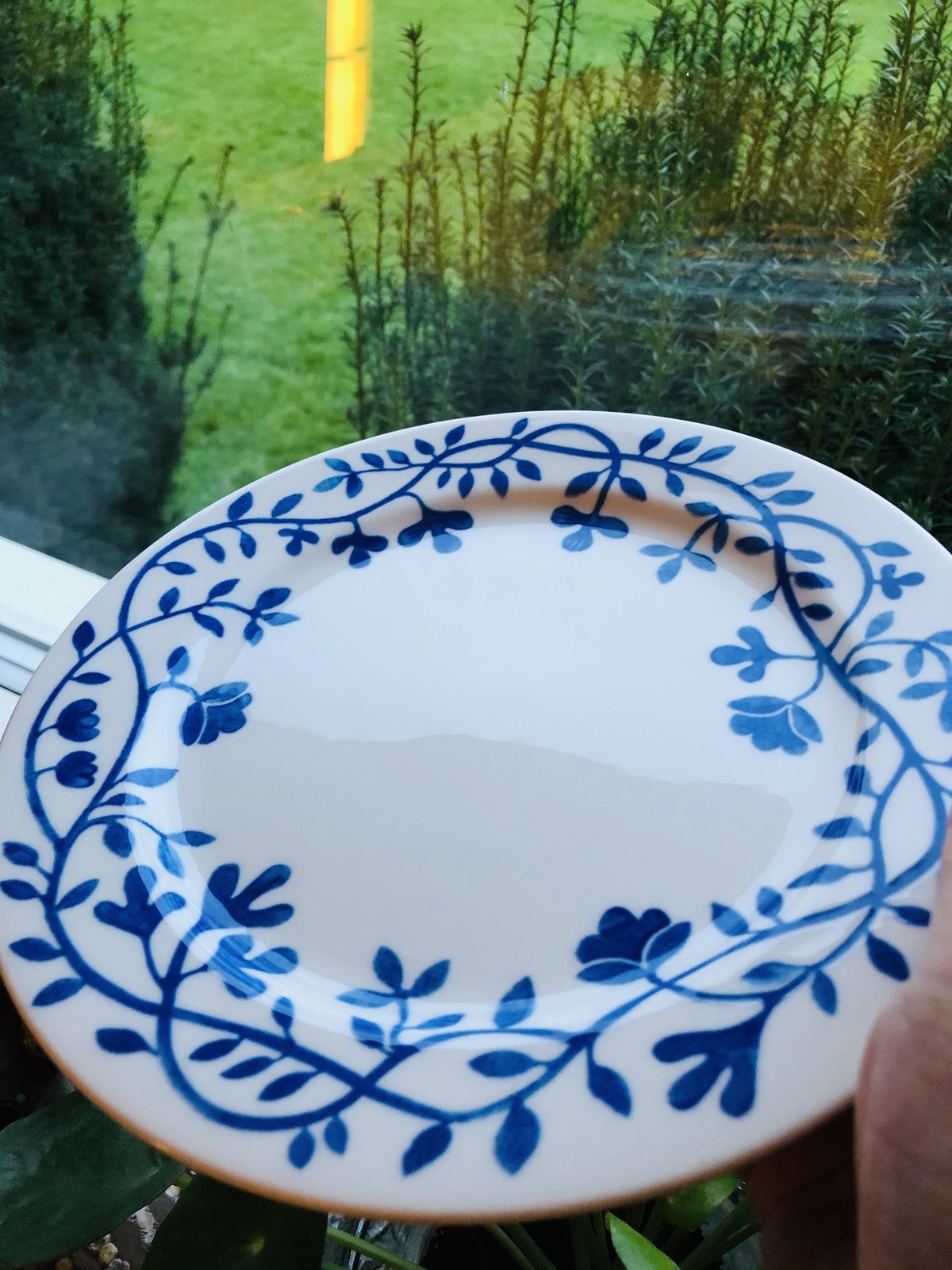 ペルゴラ ロールストランド プレート ディナー 大皿 パスタ メイン - 食器