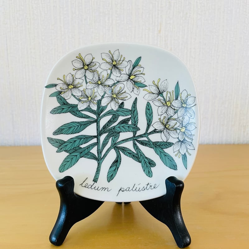 アラビア ボタニカルシリーズ 2枚セット