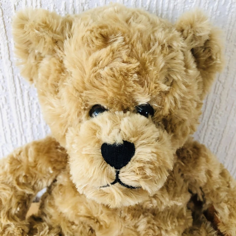 ワンダフルワールド 水色 ダッフルコート クマ刺繍 テディベア カネコイサオ 熊 カネコイサオさん、WWくまのぬいぐるみ ワンダフルワールド 水色