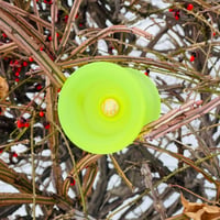 AMPLE（PC）/ Yellow