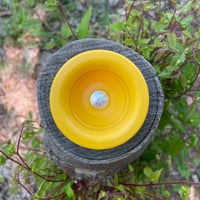 IMMERSIVE / Yellow