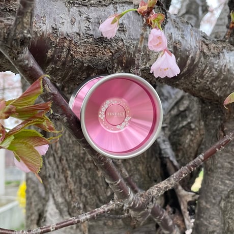 TESRACT / SAKURA Edition