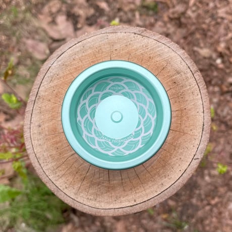 JUGEMU '24 / Matte Light Green