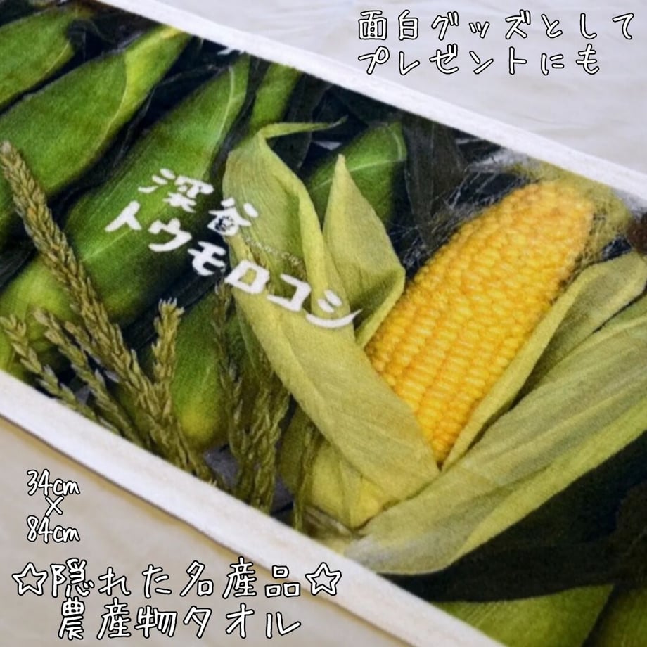 62304e85047a9d04dab9bbd0