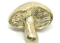 SOLID DESIGN SDr-243 【立体ピンズ】 キノコ図鑑シリーズ Mushroom Pins 『テングダケ』