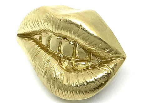 SOLID DESIGN SDr-263 【立体ピンズ】 Lipsシリーズ Kiss Me Pins 【Shit】