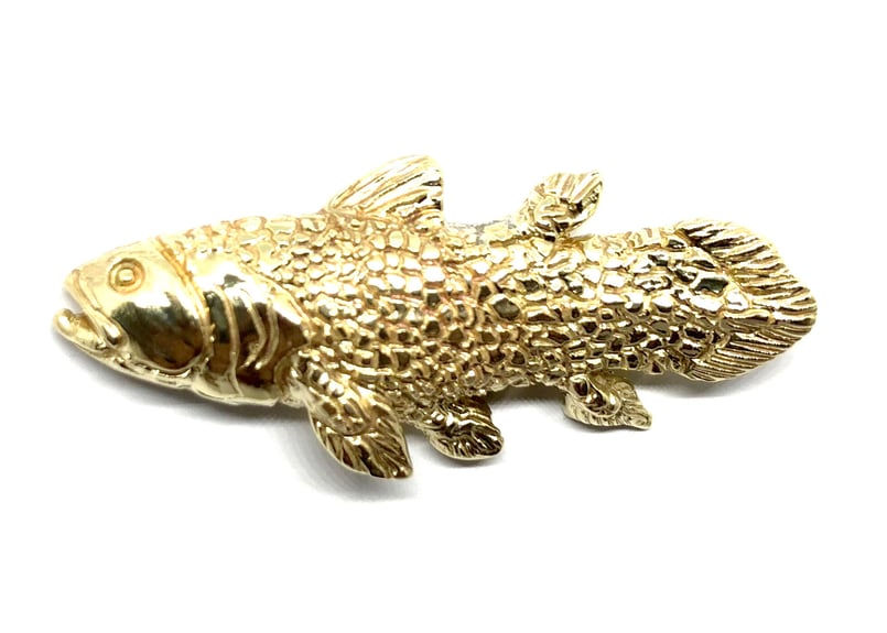 シーラカンス ハンドメイド 美しいダークブルー シーラカンスの色味に