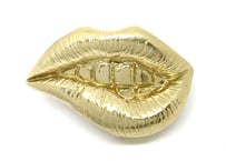 SOLID DESIGN SDr-263 【立体ピンズ】 Lipsシリーズ Kiss Me Pins 【Shit】