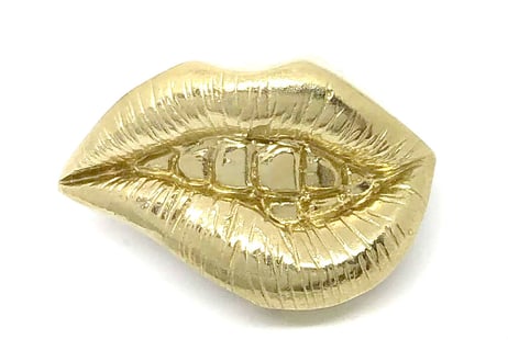 SOLID DESIGN SDr-263 【立体ピンズ】 Lipsシリーズ Kiss Me Pins 【Shit】