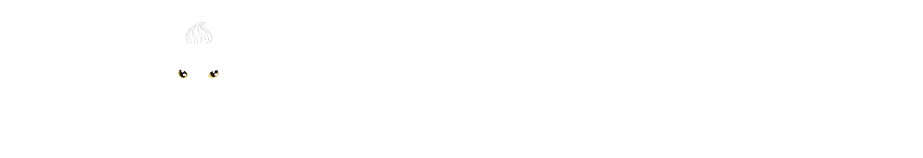 SOLID DESIGN®