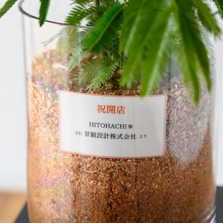 エバーフレッシュ