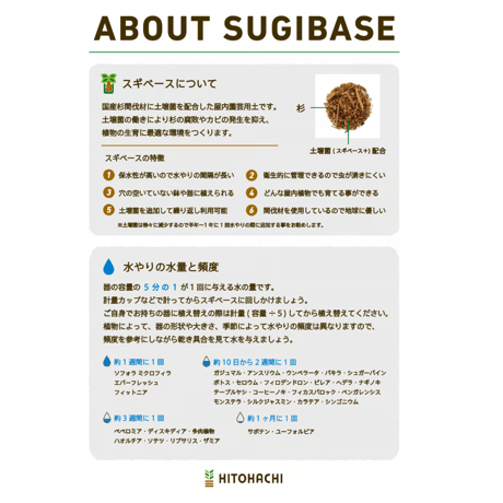 スギベースM 1000ml