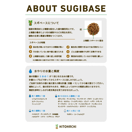 スギベースL 2000ml
