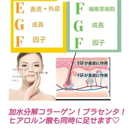 京都コスメディ製薬とのOEM！EGF、FGF、ヒアロルン酸1500本オイルフルールニードル