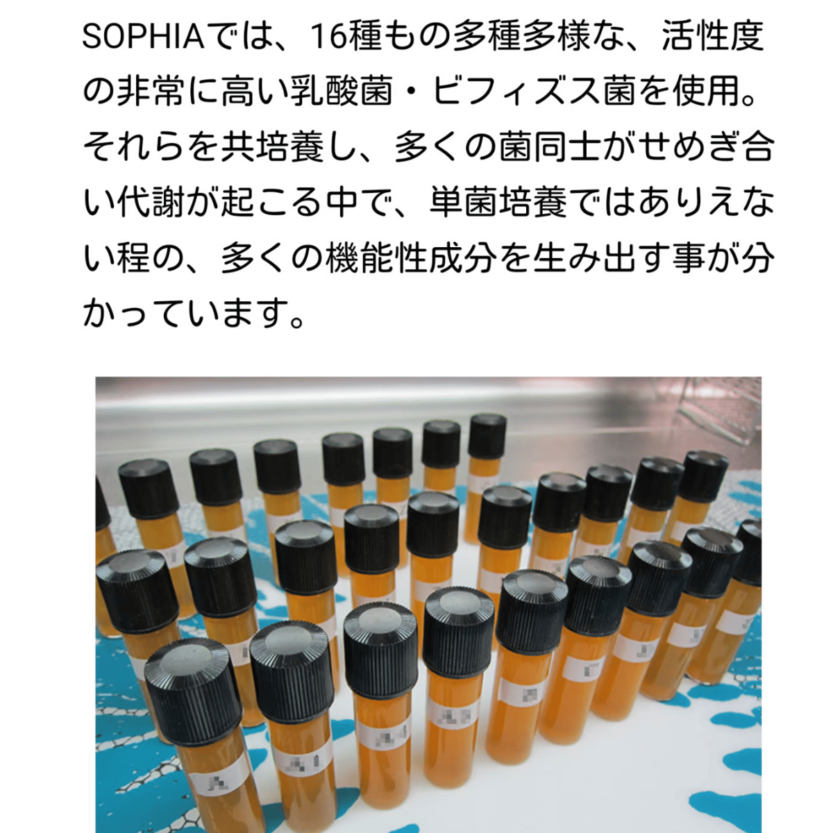 胃に優しく効果が凄いスーパーソフィアマイルド60ml×5本 | オイル 