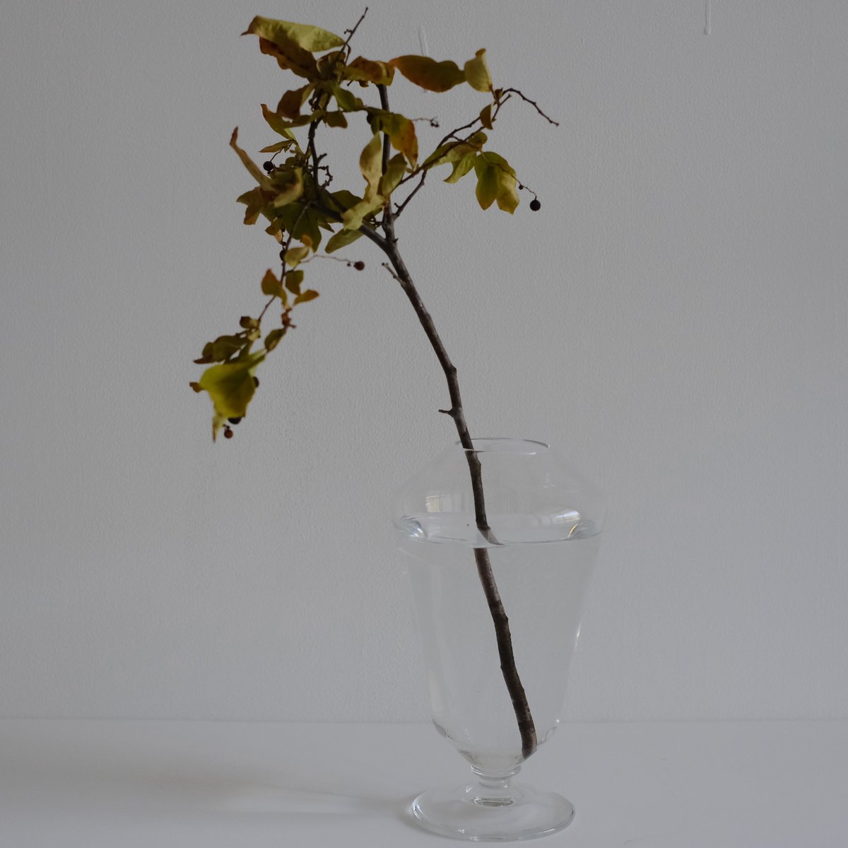 蠣﨑マコト / 36kaki vase | archipelago