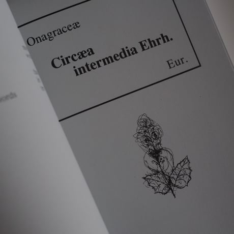 HERMAN DE VRIES - PUBLISHER / Herman De Vries
