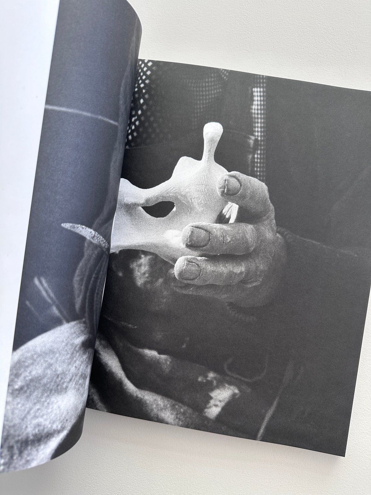 LATE LARGE FORMS / Henry Moore | archipelago
