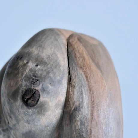 福井守 Object ／樹種不明