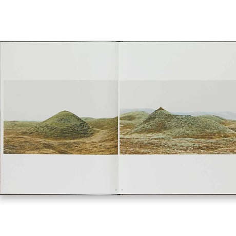 MOTHER, WONDER ／ Roni Horn