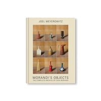 MORANDI'S OBJECTS. THE COMPLETE ARCHIVE OF CASA MORANDI / Joel Meyerowitz