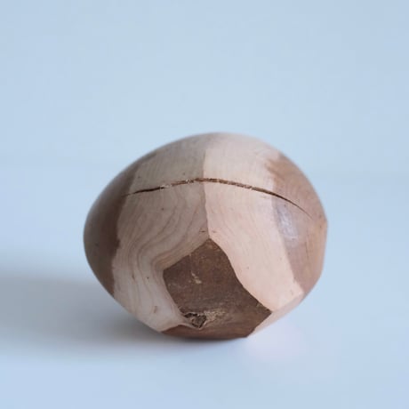 福井守 Object／桜