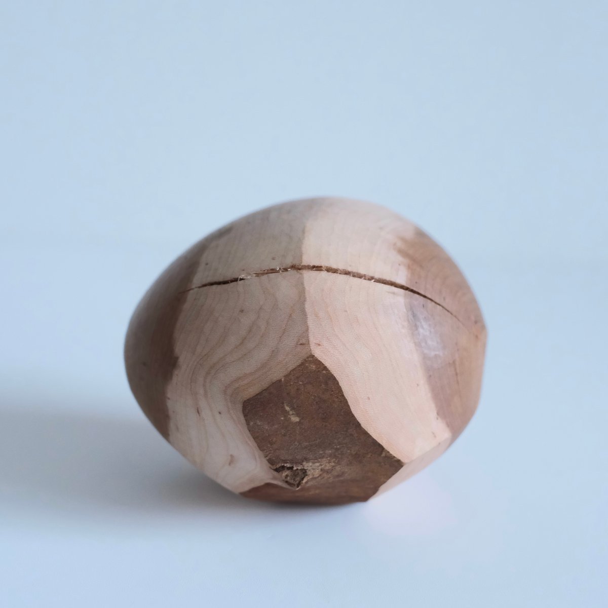 福井守 Object／桜 | archipelago