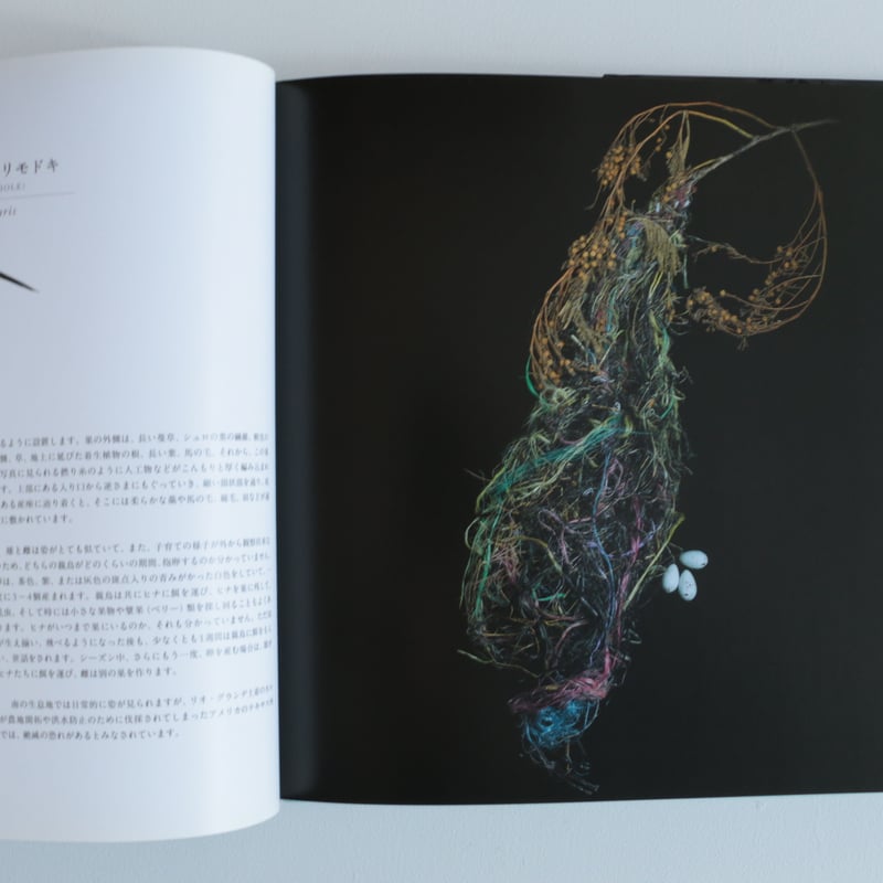 写真集 鳥の巣 50個の巣と、50種の鳥たち | archipelago