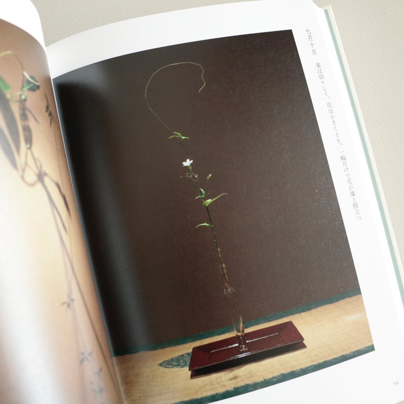 【裁断済み】川瀬敏郎 花をたてる 四時之花 書籍｜川瀬敏郎｜四時之花 なげいれ稽古録 – 青花の会｜seikashop