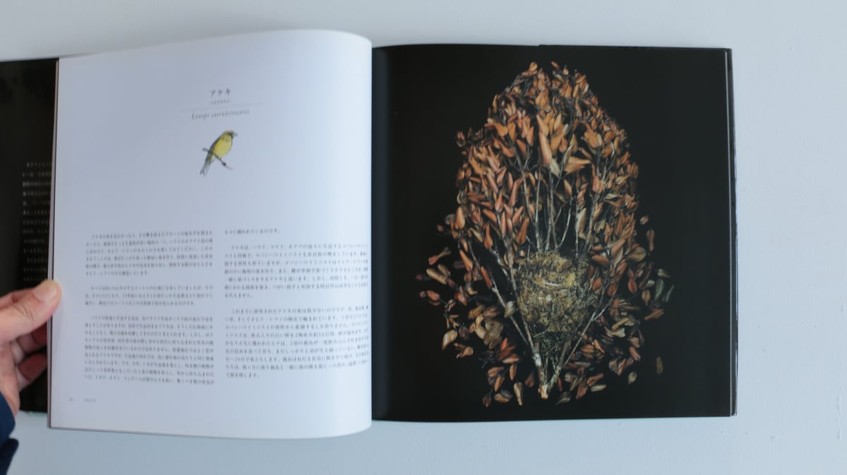 写真集 鳥の巣 50個の巣と、50種の鳥たち | archipelago