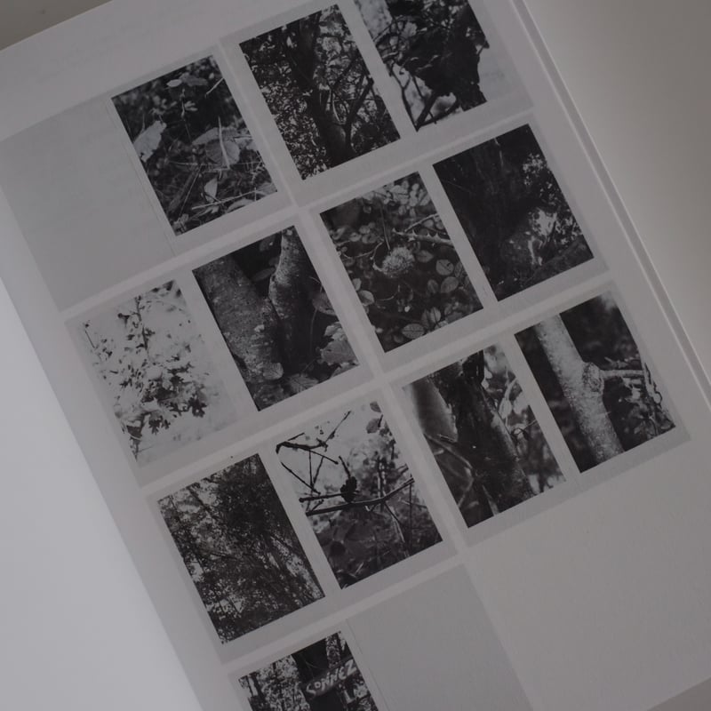 HERMAN DE VRIES - PUBLISHER / Herman De Vries |