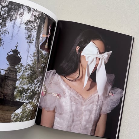 A MOUSE IN HER HOUSE / Lina Sun Park