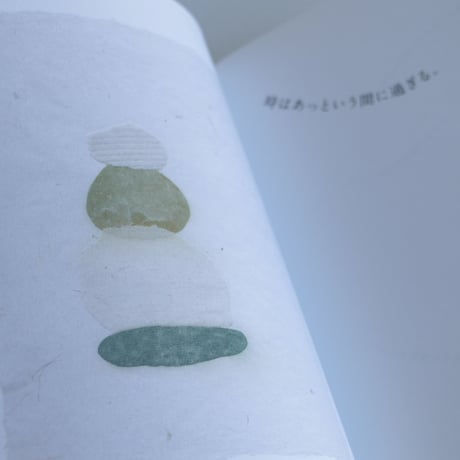 DO INSECTS PLAY? /  Johanna Tagada