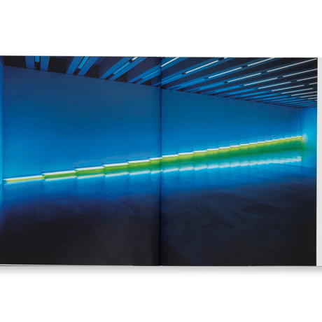 DEDICATIONS IN LIGHTS / Dan Flavin