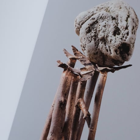 GIUSEPPE PENONE: THOUGHTS IN THE ROOTS / Giuseppe Penone