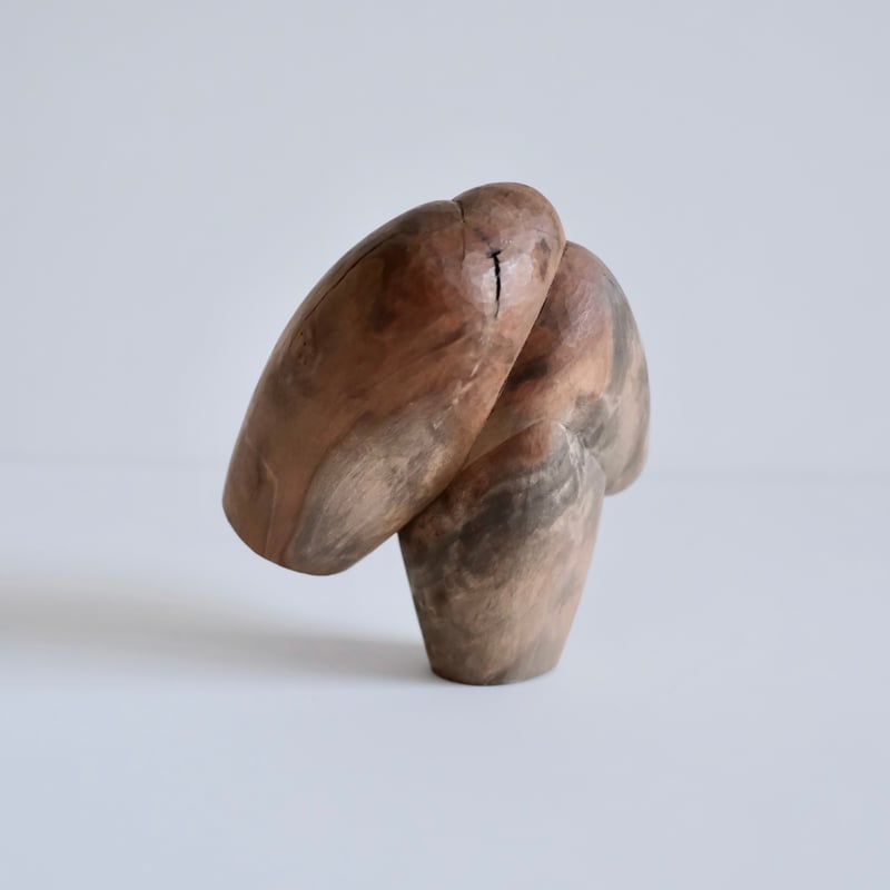 福井守 Object ／樹種不明 | archipelago