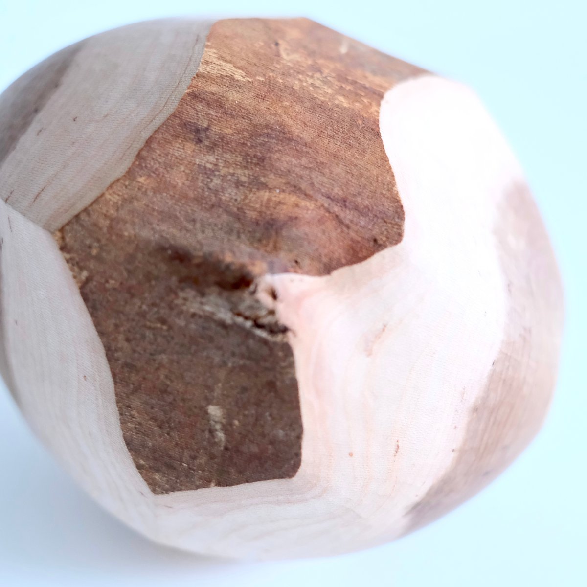 ✨希少✨福井 守さん作 木製オブジェクト 桜の木 福井守 Object／桜 | archipelago