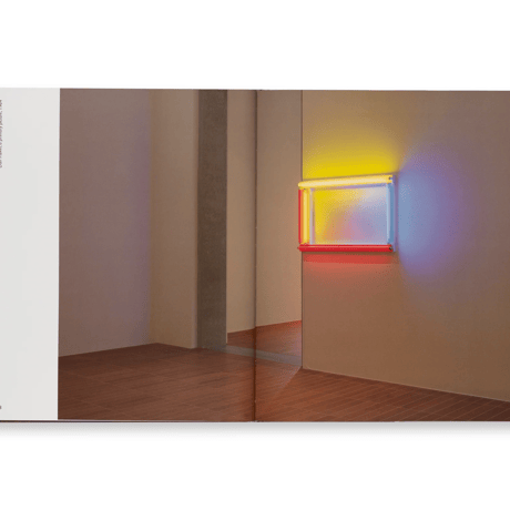 DEDICATIONS IN LIGHTS / Dan Flavin
