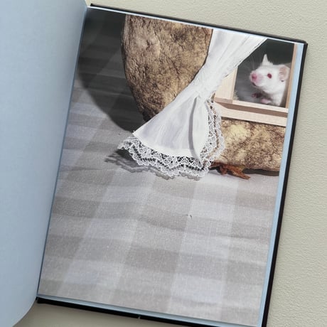 A MOUSE IN HER HOUSE / Lina Sun Park