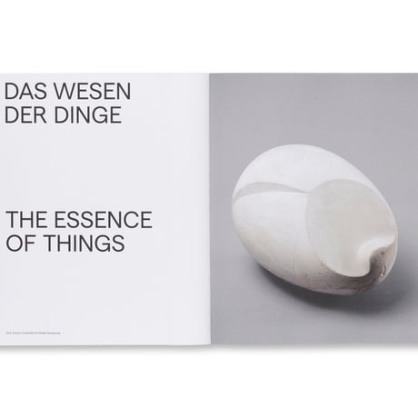 BRANCUSI / Constantin Brancusi